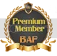 Medal_01.webp