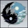 oie_30759pJCdyOIj.webp