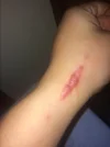 IMG_6642.webp
