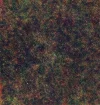 Lockman-SWIRE1.webp