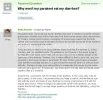parakeet.webp