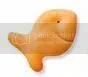 goldfish.webp