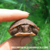 thavatar3971_39.gif