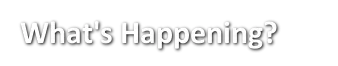 wh10.webp