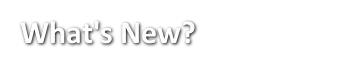 wn11.webp