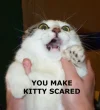 scaredkitty.webp