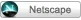 netsca10.webp
