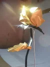 rose_o10.webp rose_o10.webp
