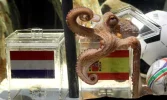 Paul-the-octopus-005.webp