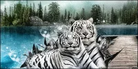 lake_side_tiger_by_dark_ffex-d32u9db.webp