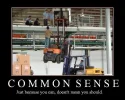 commonsense.webp