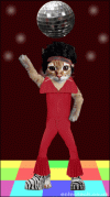 discocat.gif