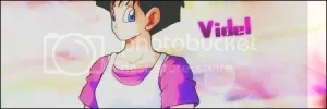 VidelSig.webp