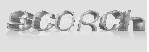 scroch2.webp