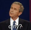 orly_bush.webp
