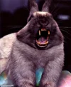 Scary-Rabbit-with-Teeth--55865.webp