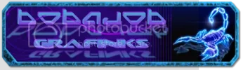 bob_fin_1.webp
