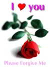 601-sorry-in-love.webp
