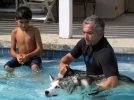 The Dog Whisperer.webp
