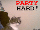 party_hard_cat2.gif party_hard_cat2.gif