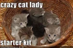 Crazy+Cat+Lady+Starter+Kit.webp