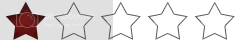 FP1star.webp