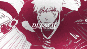 bleachstory8.gif