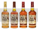 wild_turkey_101_1.webp
