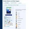 untitl12.webp