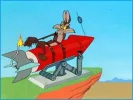 coyote-and-rocket.webp