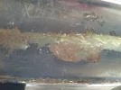 sXYucCy.webp