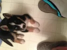 3wewnY1l.webp