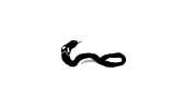 SWXB7FN.webp