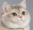 47d9c92134daba9635fd92e639edbbac.webp