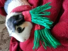 20191129_131959.webp