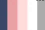 color_scheme.webp