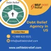 Debt Relief Agency in USFrom Home.webp