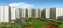 dlf the arbour.webp
