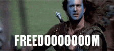 AdeptBigIberianbarbel-size_restricted.gif