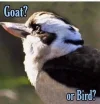 FB_IMG_1687471023104.webp