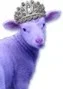 purplelambextrasmall.webp