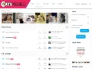 Cats Forum