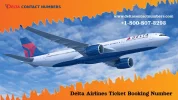 delta-contact number 21.webp