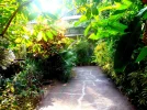 DSC01037.webp