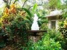 All about Gardening