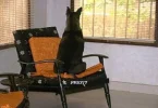 onsofa.webp