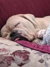 rosie2021.webp