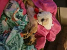 20250808_235723.webp