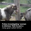 FB_IMG_1757630673446.webp