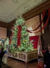 PXL_20251126_205252373.MP.webp
